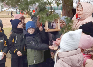 Как прошла акция «Птичьи кормушки» для школьников