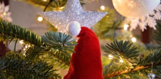 Когда стартуют новогодние благотворительные акции.