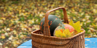 Что можно успеть сделать до морозов в огороде и саду