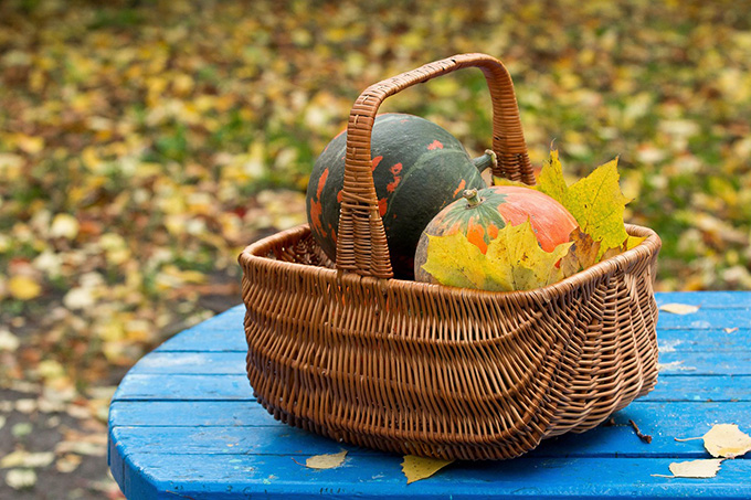 Что можно успеть сделать до морозов в огороде и саду 