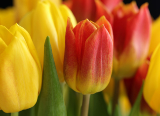 Руководство района поздравляет с Днём Октябрьской революции