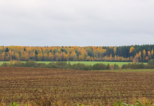 Какой будет погода в последний месяц осени