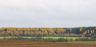 Какой будет погода в последний месяц осени