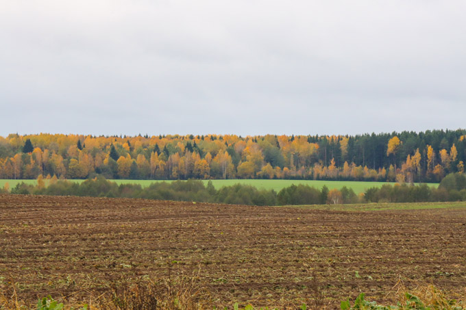 Какой будет погода в последний месяц осени