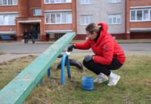 В Мстиславле прошла акция «Чистый двор — комфортная жизнь»