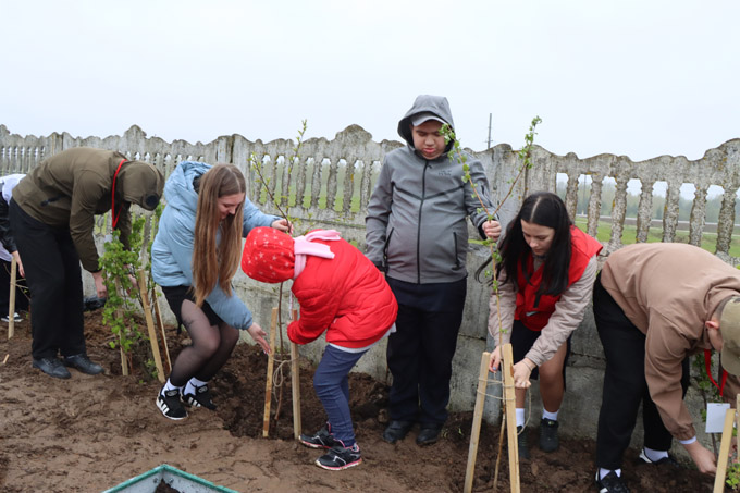 Как волонтёры помогают ЦКРОиР
