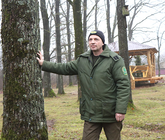 Как работники лесничества поддерживают порядок в лесу