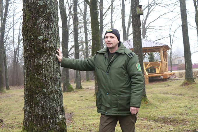 IMG_2696 Как работники лесничества поддерживают порядок в лесу