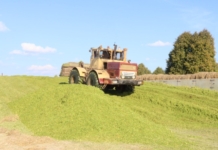 С каким настроением встречают аграрии свой профессиональный праздник