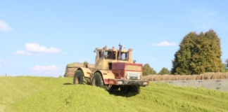 С каким настроением встречают аграрии свой профессиональный праздник С каким настроением встречают аграрии свой профессиональный праздник