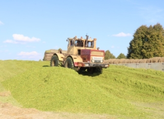 С каким настроением встречают аграрии свой профессиональный праздник