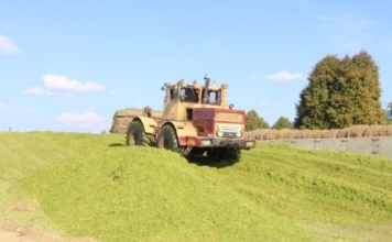 С каким настроением встречают аграрии свой профессиональный праздник С каким настроением встречают аграрии свой профессиональный праздник