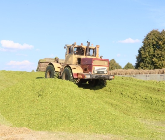 С каким настроением встречают аграрии свой профессиональный праздник