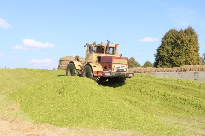 С каким настроением встречают аграрии свой профессиональный праздник