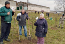В аг. Копачи заложили новый парк «Белая Русь»