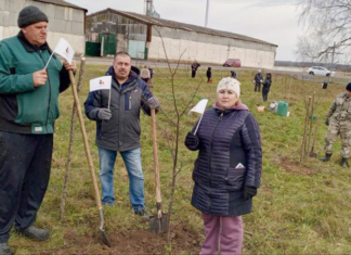 В аг. Копачи заложили новый парк «Белая Русь»