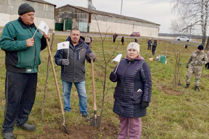 В аг. Копачи заложили новый парк «Белая Русь»