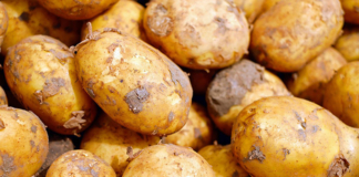 В МАРТ установили максимальную цену на картофель