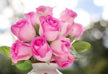 Руководство района поздравляет профессиональным праздником — Днём работников сельского хозяйства и перерабатывающей промышленности агропромышленного комплекса