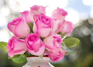 Руководство района поздравляет профессиональным праздником — Днём работников сельского хозяйства и перерабатывающей промышленности агропромышленного комплекса