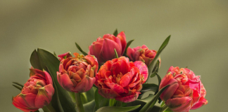 Депутат Палаты представителей поздравляет с Днём Великой Октябрьской революции