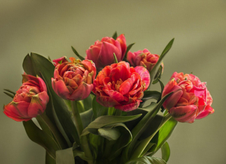 Депутат Палаты представителей поздравляет с Днём Великой Октябрьской революции