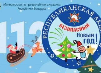 Безопасный Новый год: стартует республиканская акция МЧС.