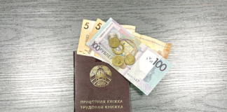 Как пополнить бюджет на общественных работах