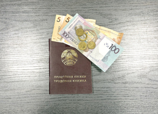 Как пополнить бюджет на общественных работах