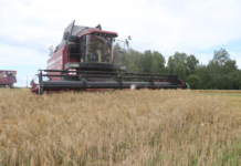 Какая поддержка запланирована для АПК в предстоящем году Какая поддержка запланирована для АПК в предстоящем году