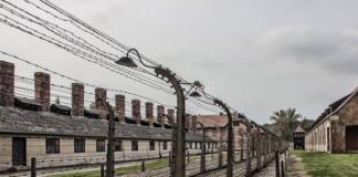В библиотеке открыта выставка, посвящённая памяти жертв Холокоста