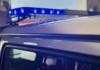 Пьяная расправа над овчаркой. Следователи расследуют факт издевательства над животным.