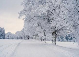 Беларусь накроет снежный циклон. Кому готовиться к метелям.