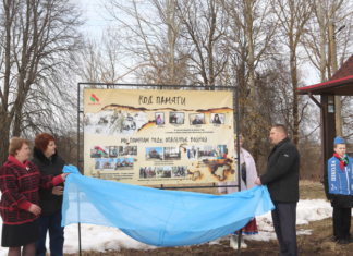 В деревне Шамово почтили память жертв Великой Отечественной войны