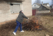 Узнали, что объединило депутатов аг. Мушино