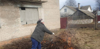 Узнали, что объединило депутатов аг. Мушино