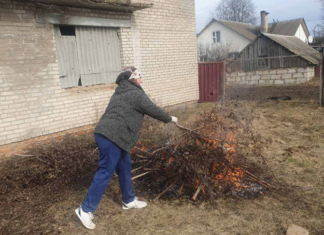 Узнали, что объединило депутатов аг. Мушино