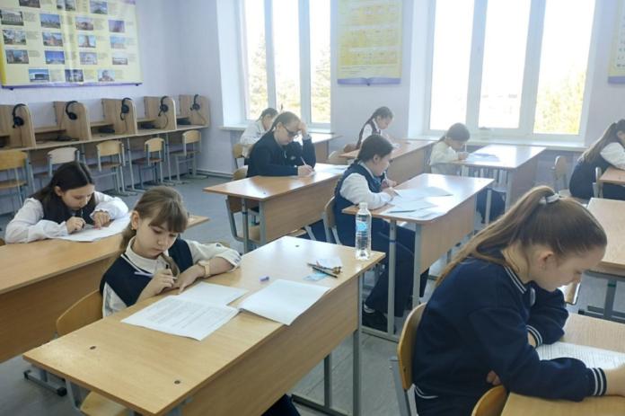 Как прошли школьные олимпиады по учебным предметам