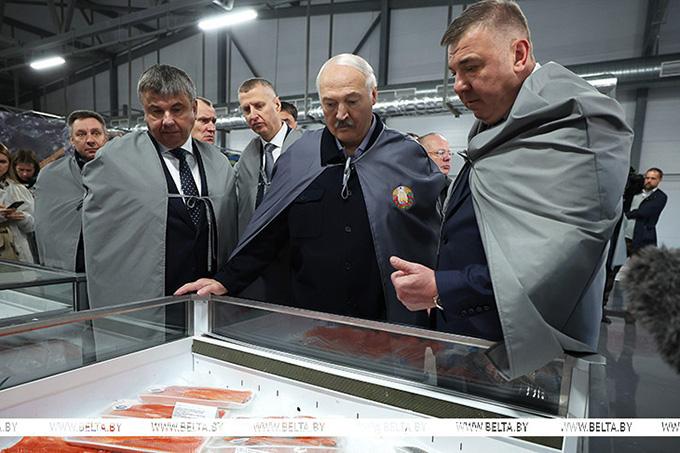 Неделя Президента: тема природы, внешняя политика и субботник