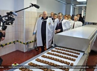 Президент совершил рабочую поездку в Наровлянский район