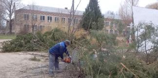 Жители д. Усполье привели в порядок территорию у памятного знака