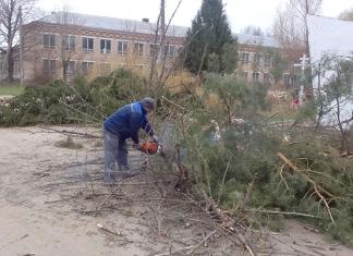 Жители д. Усполье привели в порядок территорию у памятного знака