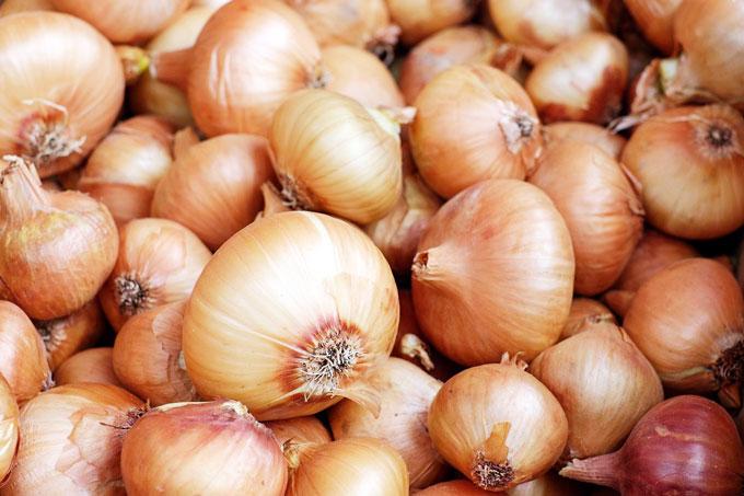 onions-1397037_1280 Как посадить лук-севок, чтобы потом собрать крупные головки