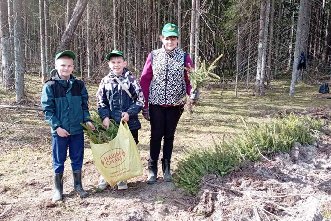 Акция «Лес. Дабро. Парадак!». Сколько сеянцев высажено