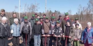 Где члены школьного лесничества высаживали саженцы