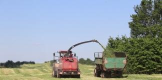 Аграрии района приступили к заготовке кормов