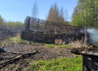 Пал травы привёл к пожару: сгорел дом в деревне Старое Село.