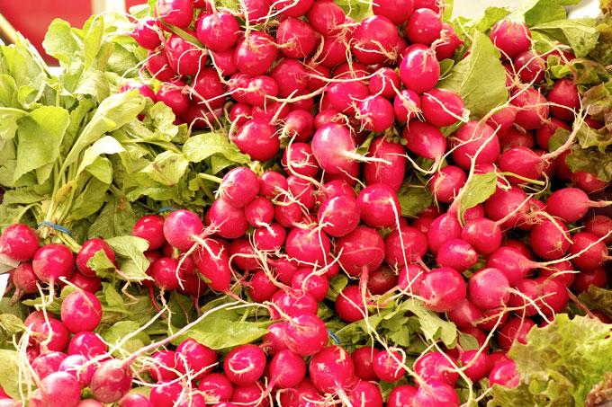 harvested-fresh-radishes-3511163_1280 Что посадить в июне, чтобы собрать урожай осенью