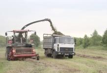 Аграрии района завершают первый укос трав Аграрии района завершают первый укос трав