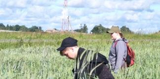 Летние каникулы с пользой: школьники Копачёвской школы помогают хозяйству на полях.